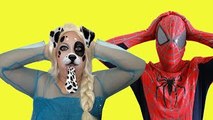 Spiderman vs Elsa Frozen - Elsa turns into a DOG?! Real Life Superheroes Movie