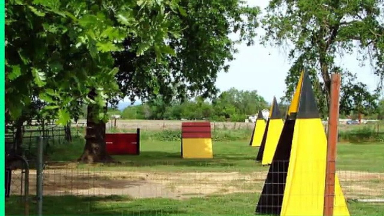Sacramento Dog Training