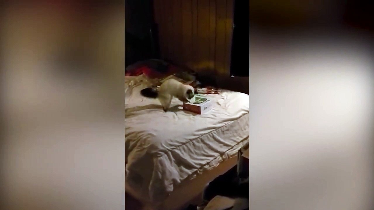 Quando trovi i tuoi Regali di Natale in Anticipo
