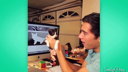 Funny Cat Videos - Zach King Cat Videos Compilation-Py0Q88s33L8