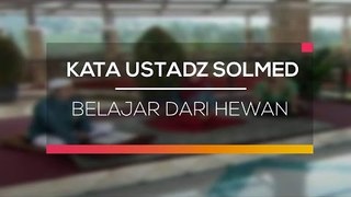 Kata Ustadz Solmed - Belajar Dari Hewan