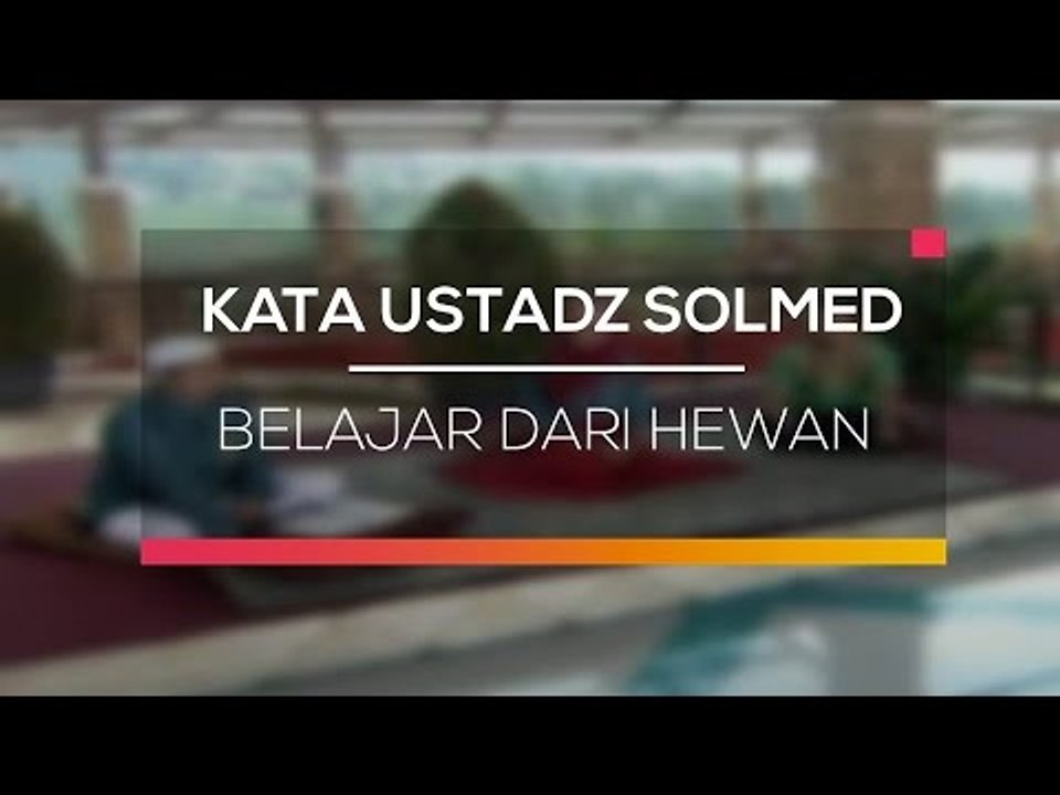 Kata Ustadz Solmed - Belajar Dari Hewan