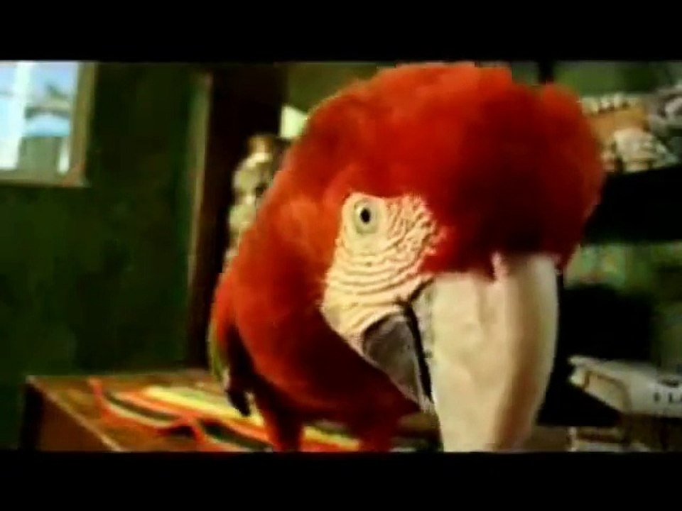 Happy Birthday, Reggae Style!