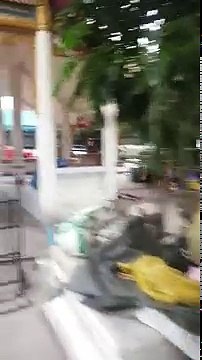 Déchirant.... Cette chienne s'approche de ce vendeur ambulant pour lui demander à manger. Mais quand il va la suivre, il