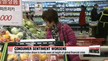 Korea's consumer sentiment worsens to level seen at height of global financial crisis