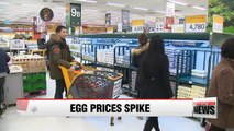 Egg prices soar over 50% amid bird flu outbreak