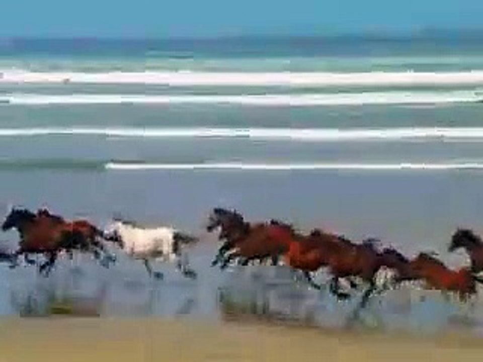 Sample Videos (52) - Copy.mp4-SD