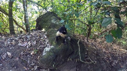 Costa Rica Road trip BEontheroad.nl