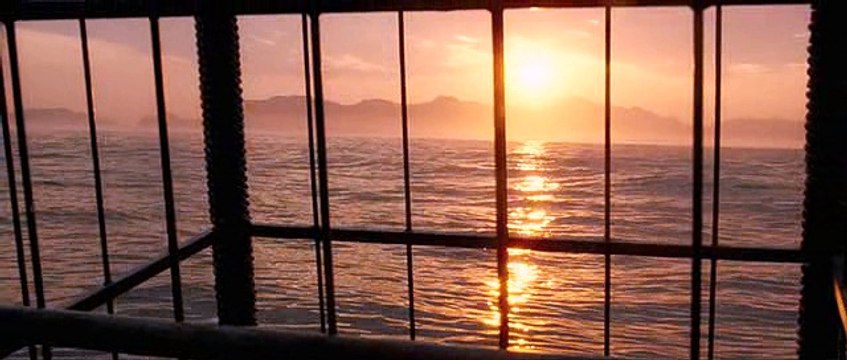 Dark Tide - Karanlik Dalgalar 2012 Turkce Dublaj