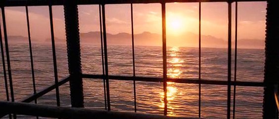 Dark Tide - Karanlik Dalgalar 2012  Turkce Dublaj