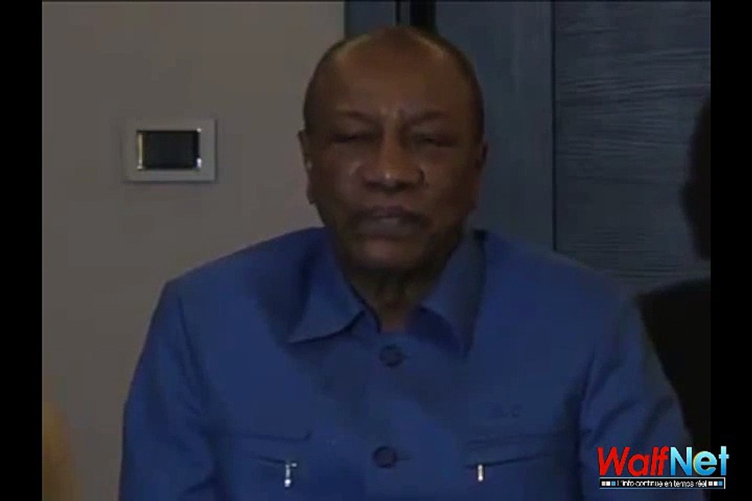 alpha