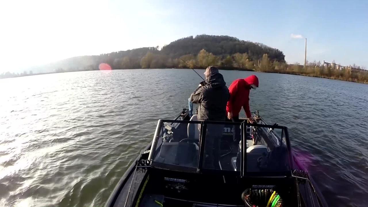 broc 1m02 pélagic.movie