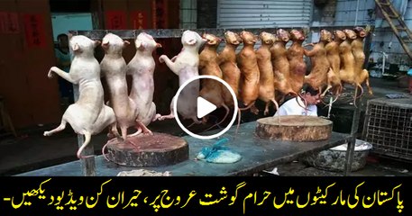 Dead animals meat seller Caught | amazing video by media group