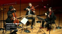 Haydn : Quatuor à cordes en ré majeur op. 64 n° 5 