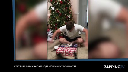 Un chat attaque violemment son maître pendant qu'il déballe ses cadeaux de Noël