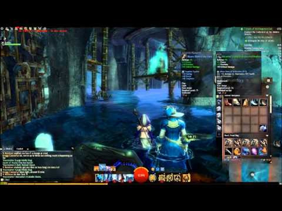 Guild Wars 2 Elementalist and Thief Duo 48