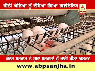 Fake Eggs from China