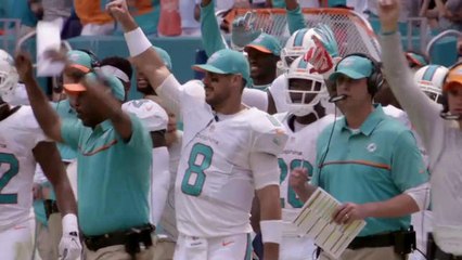 What We Learned: Dolphins are for real