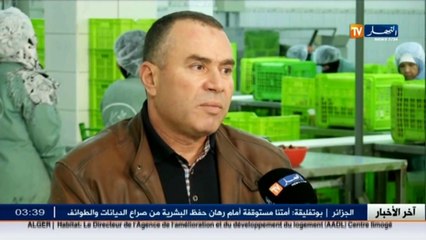 فلاحة  جزائريون يحرمون من الدقلة الجزائرية وتهريبها ظاهرة تنخر الخزينة العمومية