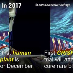 Amazing Technology in 2017 Must Watch