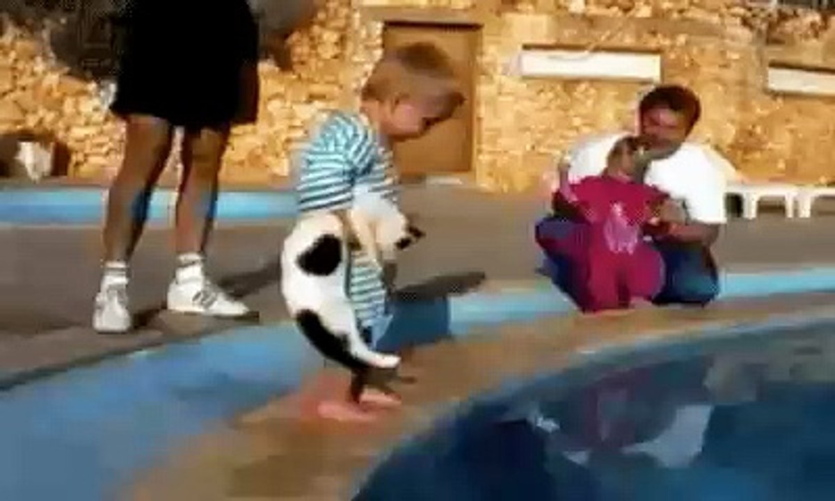 a boy cat comedy