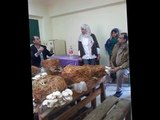 زراعة عيش الغراب Mushroom cultivation in schools