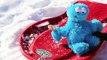 Cookie Monster Driving a Sled Crashing Falling Cookie Monster Sledding Too Icy for Cozy Coupe 0QVMQK