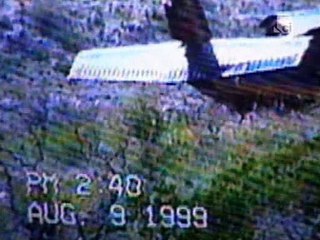 Crime Stories - Death In The Desert