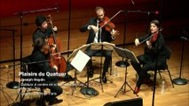 Haydn : Quatuor à cordes en si bémol majeur op. 1 n° 1 - Minuet - Trio