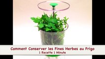 Comment Conserver les Fines Herbes au Frigo (HD)-JPJpBpckqiU.mp4