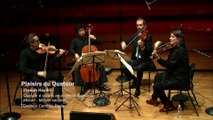 Haydn : Quatuor à cordes en si bémol majeur op. 1 n° 1 - Minuet - Minuet secondo