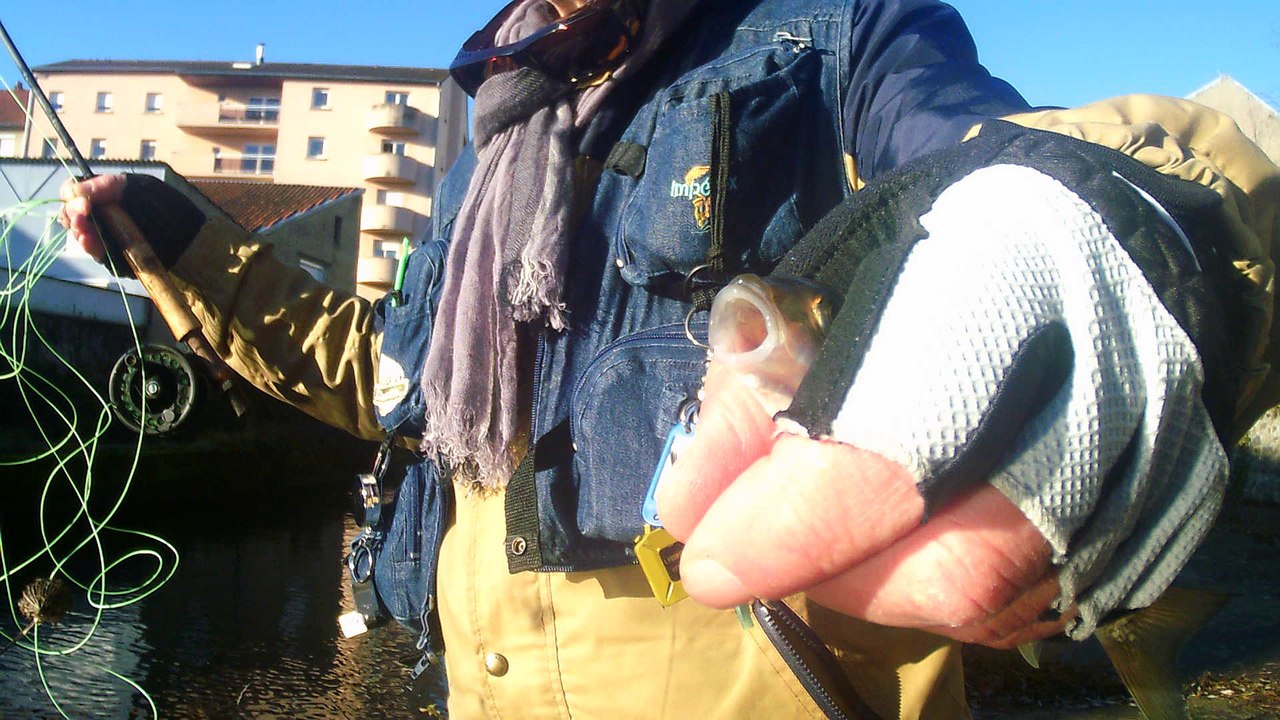 DSCF0009 le 27/12/2016  (pêche a la mouche dan le sichon a vichy en 2em catégorie