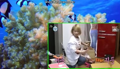 스포츠토토솔루션/토토솔루션제작/토토사이트 제작합니다.카톡:haricuty스카이프:cuty hary