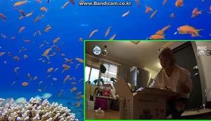 사설토토솔루션/사설솔루션/사설사이트제작/사설토토사이트 카톡:haricuty스카이프:cuty hary