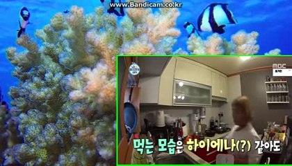 토토솔루션 !!! 토토솔루션제작 !!! 토토솔루션임대 !!! 사설솔루션 !!! 사설사이트제작 !!!  카톡:haricuty,스카이프:cuty hary