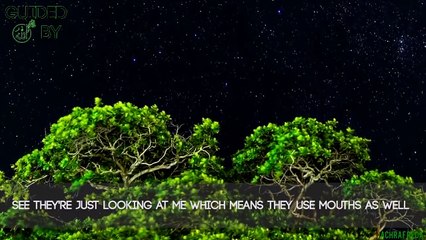 Allah Orders Men To Lower Gaze First!