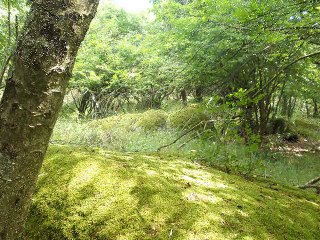 Отдых в Болгарии - Бегликташ