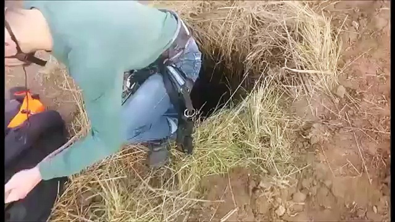 Heroes Save "Christmas" the Blind Dog from a Deep Well