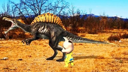 Baby Boy Funny Videos   Gorilla Rhymes For Children   Funny Little Baby   Gorilla Nursery Rhymes