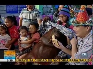 Mga natatanging katangian ng unggoy | Unang Hirit