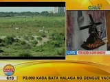 UB: Magsasaka, patay matapos kaladkarin ng mga alagang baka sa Laoag