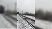 The dogs braved the elements for two days as trains raced over th Uzhgorod  Cidade na Ucrânia