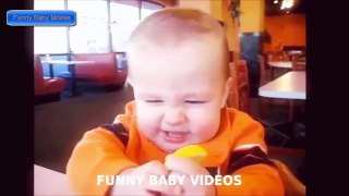 Funny baby and animals