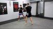 Tiger shadow muay thai boxe kickboxing st sauveur 3pour3