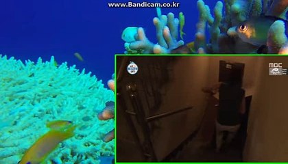 [totosolution]언제든 편안하게 문의주세요 상세설명드리겠습니다