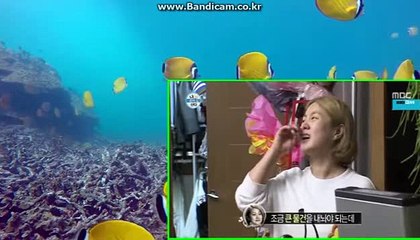 [CODSOFTtotosolution]토토임대,토토창업,토토제작,토토판매,솔루션전문업체