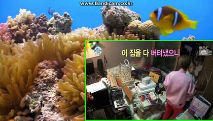 [solution]통합프로그램제작,밸런스제작,스포츠에관한 모든것