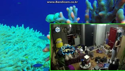 [solution]밸런스제작,스포츠제작,각종솔루션제작임대해드립니다