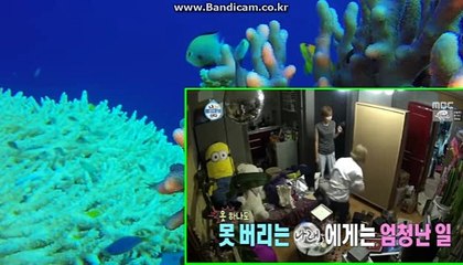[CODSOFTsolution]토토창업,토토제작,자동마감솔루션,토토제작판매