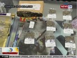BT: 4 na umano'y nagbebenta ng marijuana sa Maynila, arestado